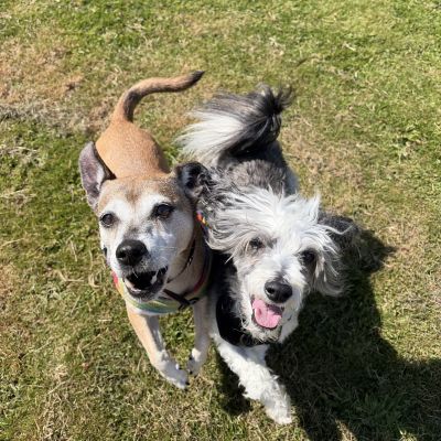 Max & Ruby **WE HAVE INTEREST**