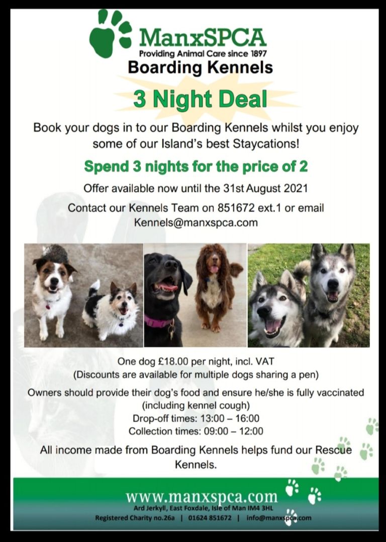 Boarding Kennels Special Deal