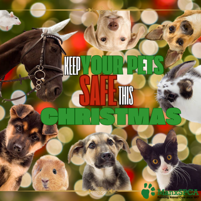 xmas safe pets (Demo)