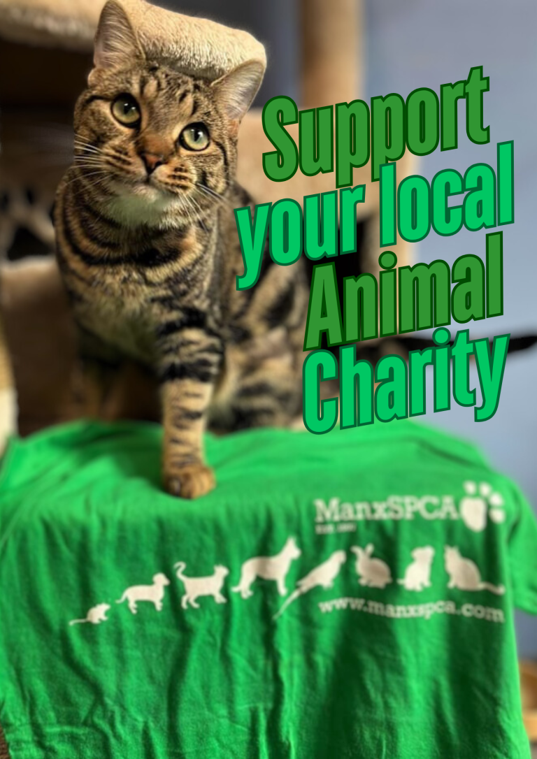 Create Your Own Fundraising Event for the ManxSPCA!