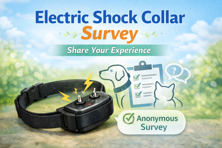 Have Your Say – Electric Shock Collars