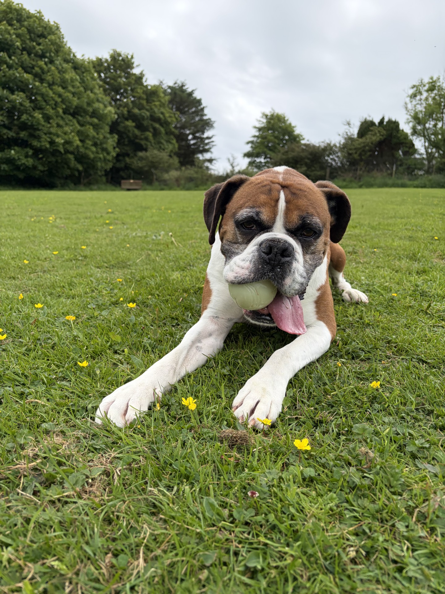 Buster