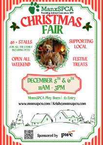 Christmas Fair 26 (2)