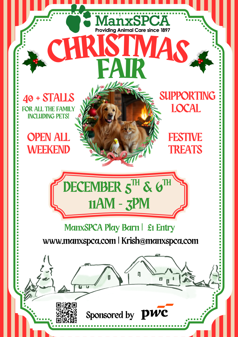 Christmas Fair 2026