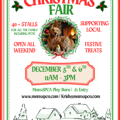 Christmas Fair 26 (2)