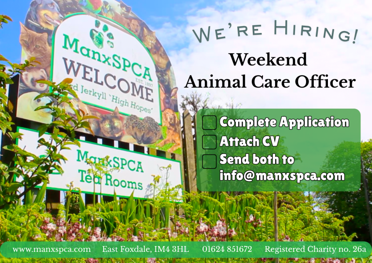 Weekend Animal Care Officers Wanted