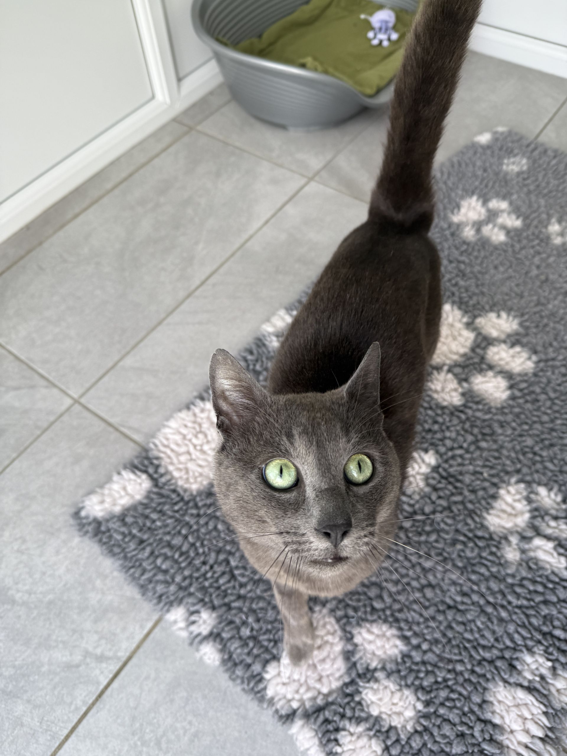 Archie
