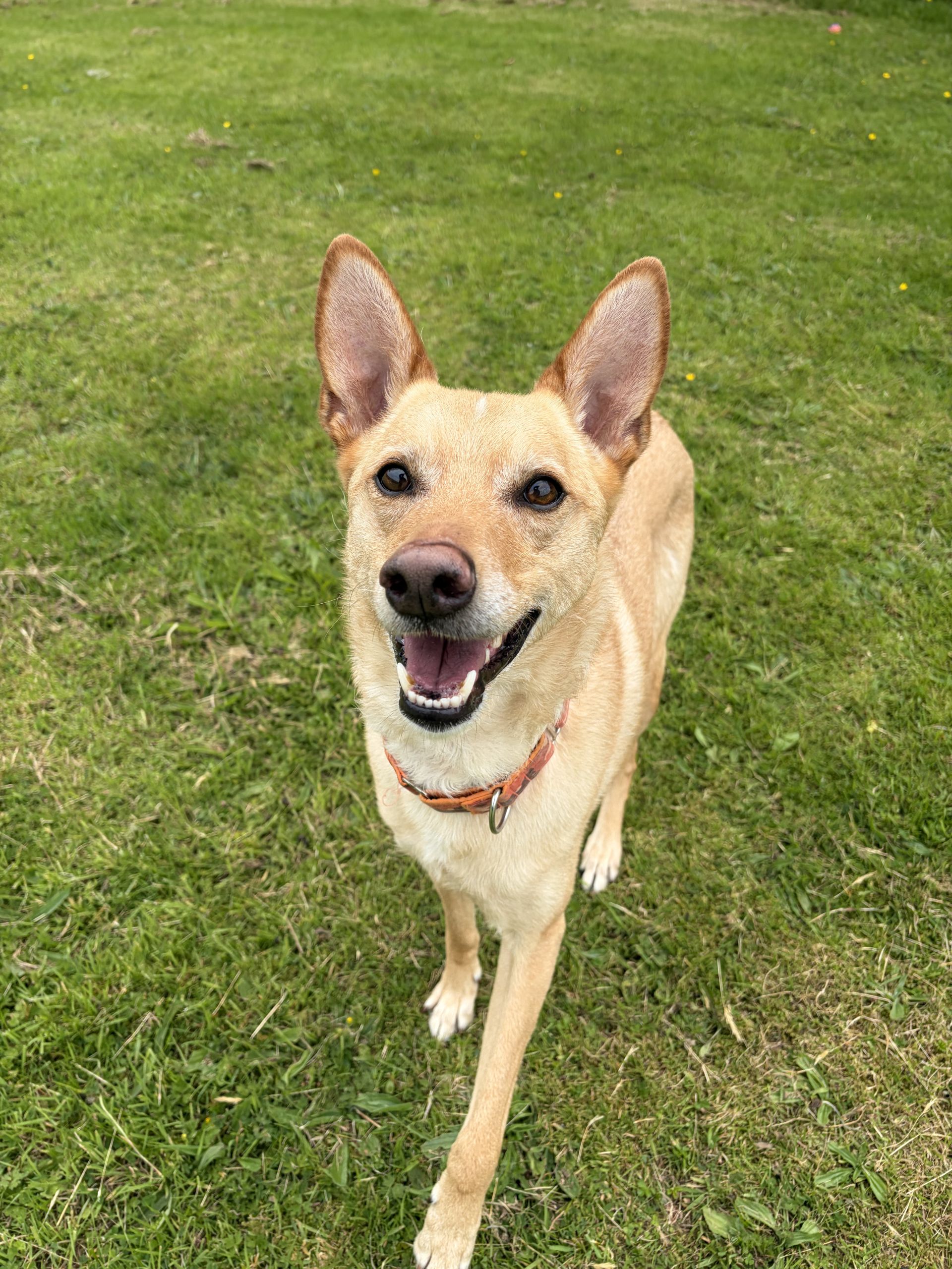 Milo