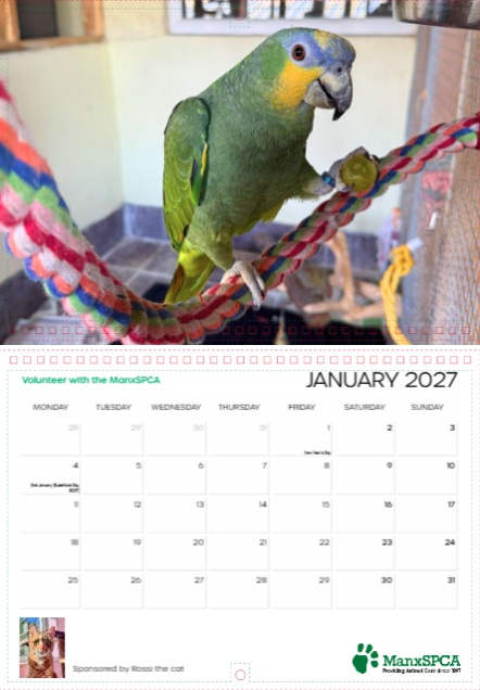 Month Demo