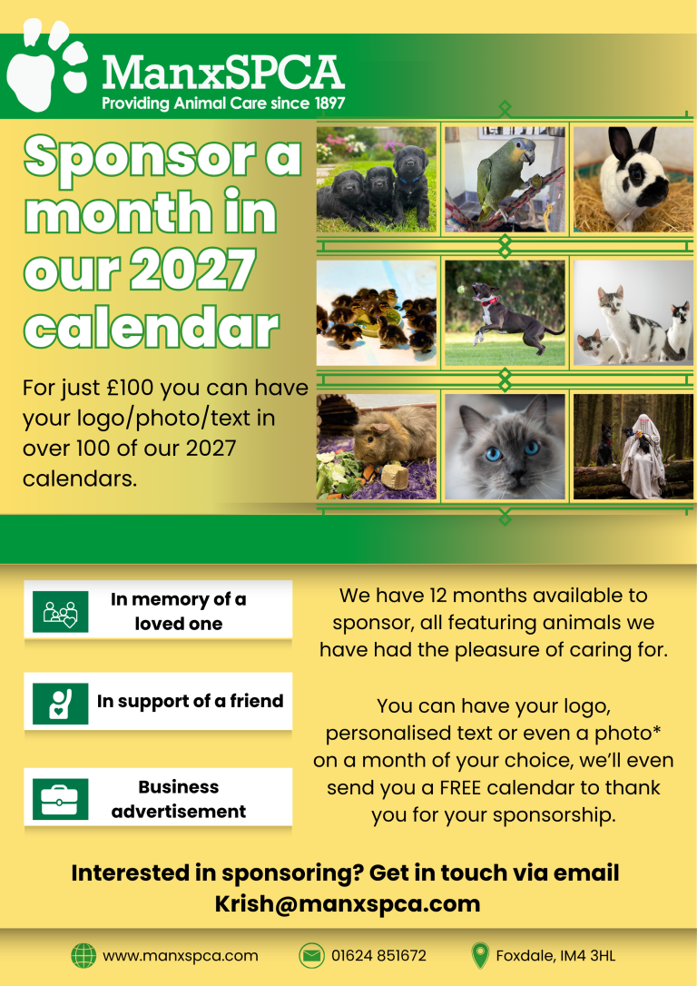 Sponsor a Month – 2027 Calendar