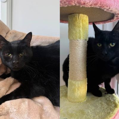 Storm & Loki