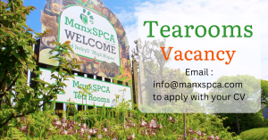 Tearooms Vacancy