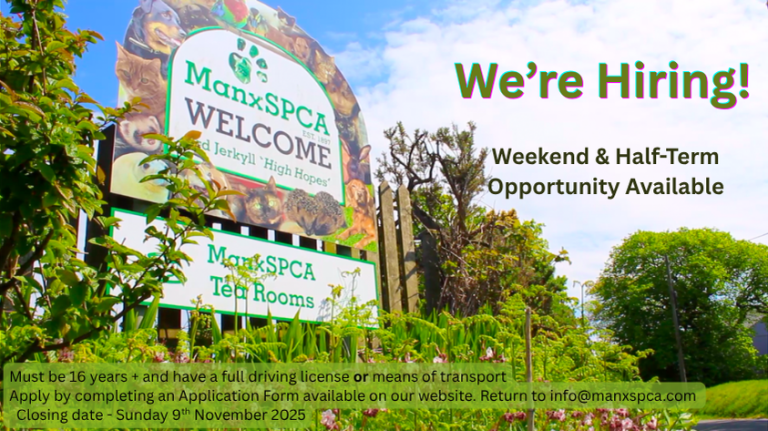 We’re Hiring!