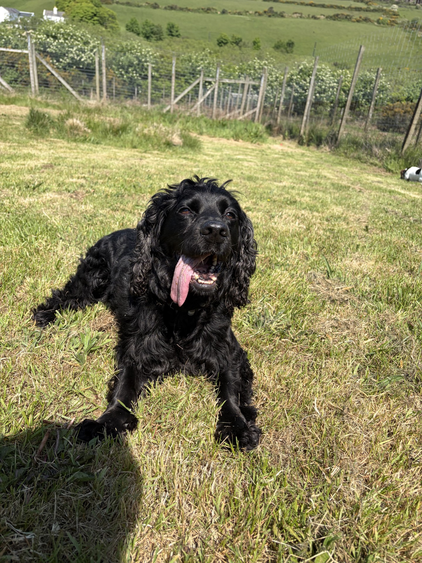 Wilson (2)