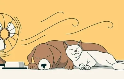 cat-dog-lying-together-near-260nw-2398640643