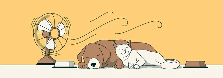 Keep Pets Cool